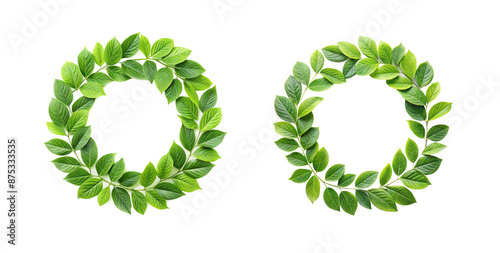 Green tropical jungle leaves form a circle on a white background. Ideal for advertising cards or invitations. Cut Out. photo