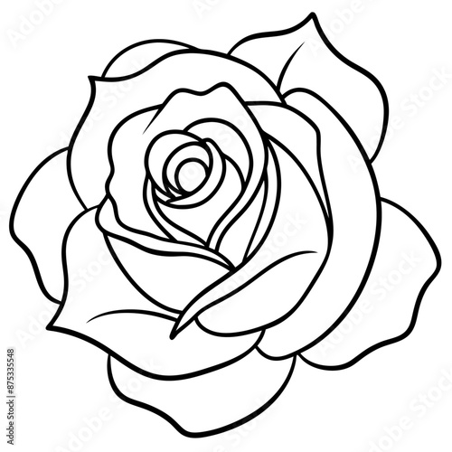 rose outline coloring book page line art illustration digital drawing
