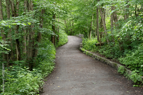 Photography Walkway