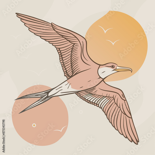 Frigatebird Vector for various uses