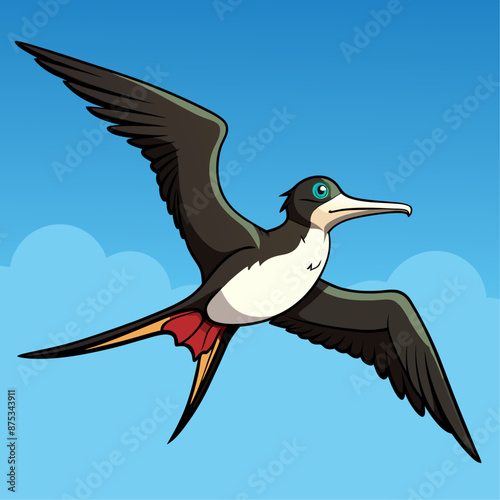 Frigatebird Vector for various uses