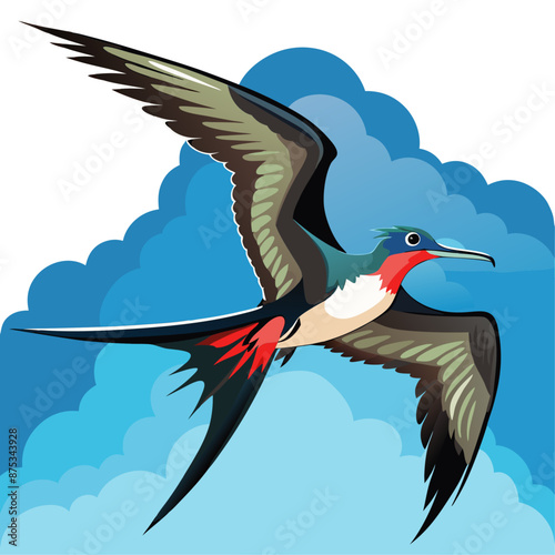 Frigatebird Vector for various uses