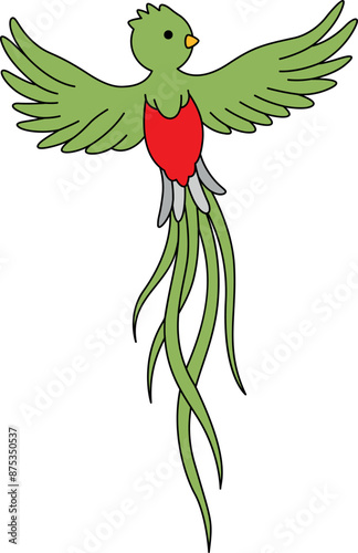 Illustration of a Long-tailed Quetzal Flying with a Front View