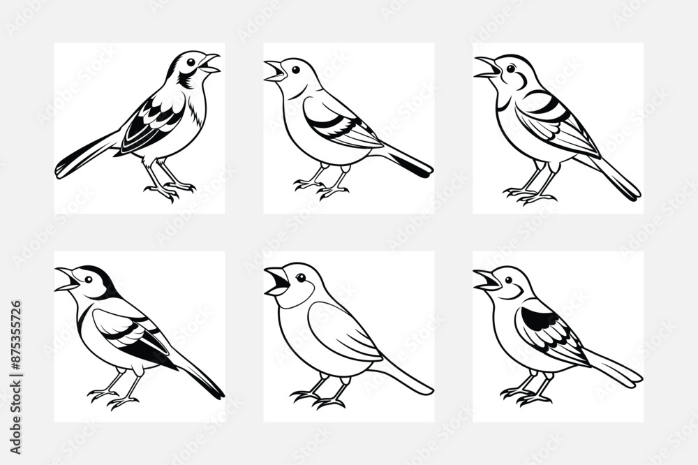 Fototapeta premium set of warbler birds vector silhouette