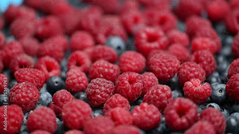 background of blueberries and raspberries background of blueberries and raspberries