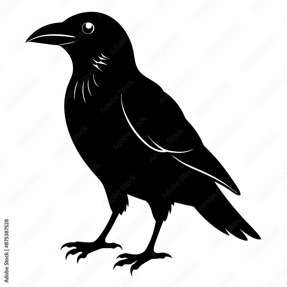 Obraz premium Crow black silhouette