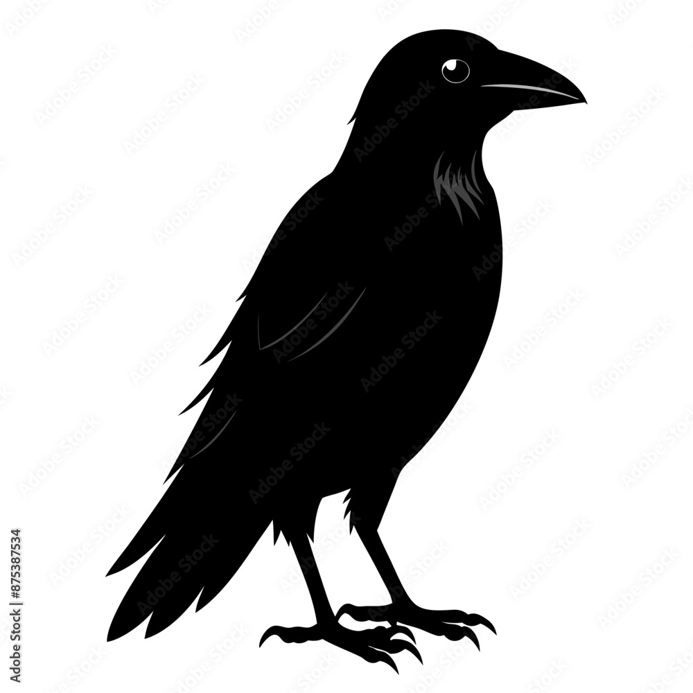 Crow black silhouette Crow black silhouette