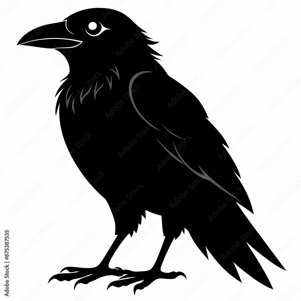 Crow black silhouette Crow black silhouette
