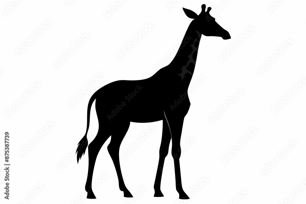 giraffe silhouette, giraffe vector silhouettes isolated on a white background, Wild animals silhouette, giraffe
giraffe silhouette, giraffe vector silhouettes isolated on a white background, Wild animals silhouette, giraffe