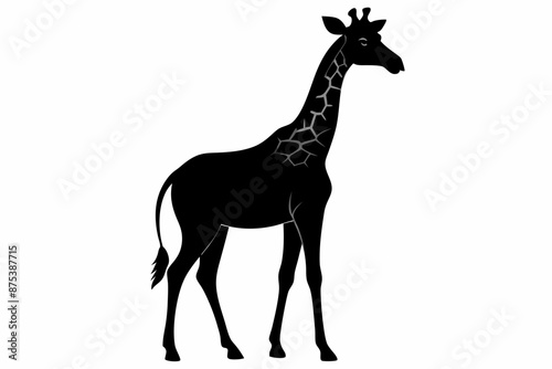 Photography giraffe silhouette, giraffe vector silhouettes isolated on a white background, W