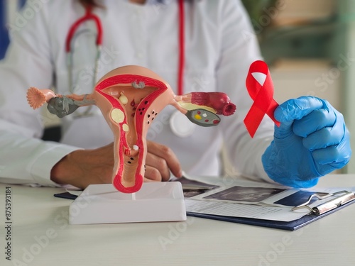 Doctor Holding Red Ribbon With Female Reproductive System Model photo