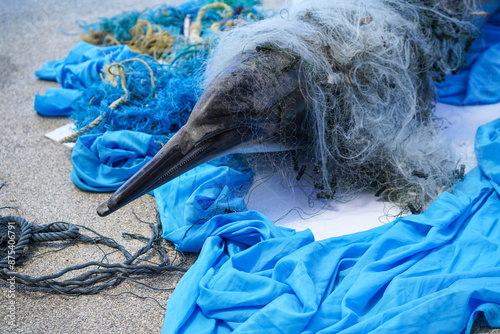 Bottlenose dolphin model entangled in a discarded fishing net on sandy beach.