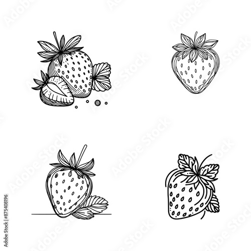 vector set of strawberry - line drawing sketch