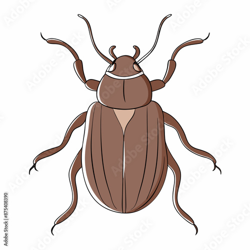 Brown beetle one line drawing sketch with simple line art (5) photo