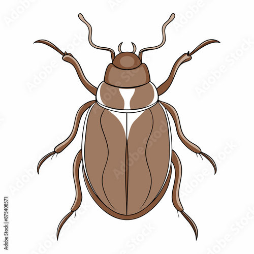 Brown beetle one line drawing sketch with simple line art (9)