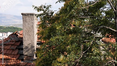 chimney on the roof and trees swaying in the wind