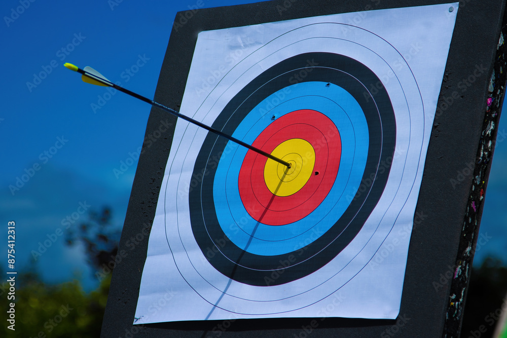 archery target with arrow in centre bullseye archery target with arrow in centre bullseye