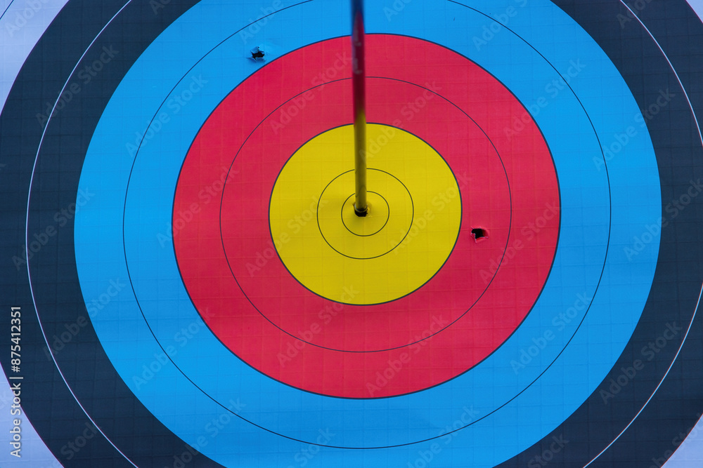 archery target with arrow in centre bullseye