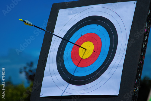 archery target with arrow in centre bullseye
