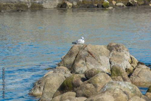 Photography Dunlaoghaire, Dublin, Ireland - seaside city scenery