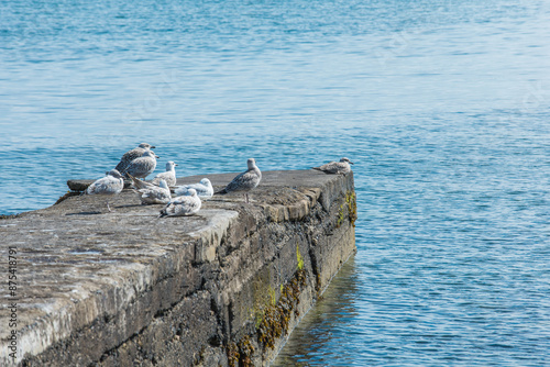 Dunlaoghaire, Dublin, Ireland - seaside city scenery