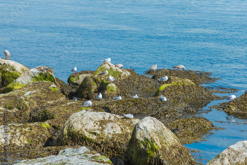 Photography Dunlaoghaire, Dublin, Ireland - seaside city scenery