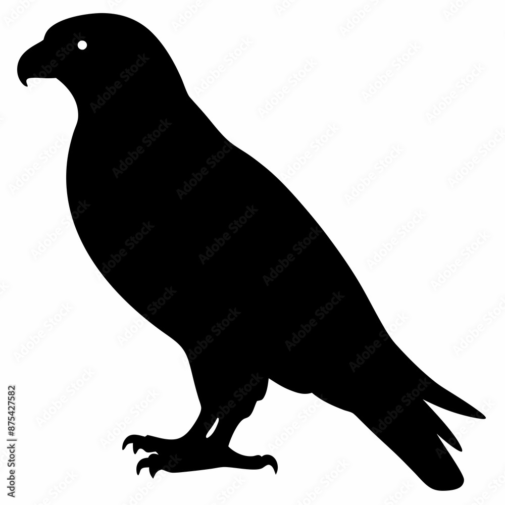 Falcon vector illustration, bird isolated on white, Falcon silhouette, Falcon vector art
Falcon vector illustration, bird isolated on white, Falcon silhouette, Falcon vector art