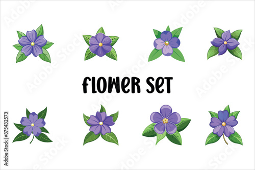 Periwinkle  flower vector art illustration
