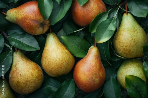 Fresh Pears in a Lush Green Environment