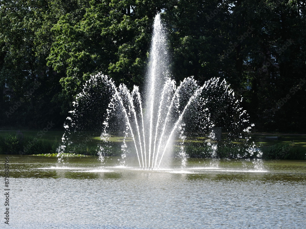 Naklejka premium fountain in the park