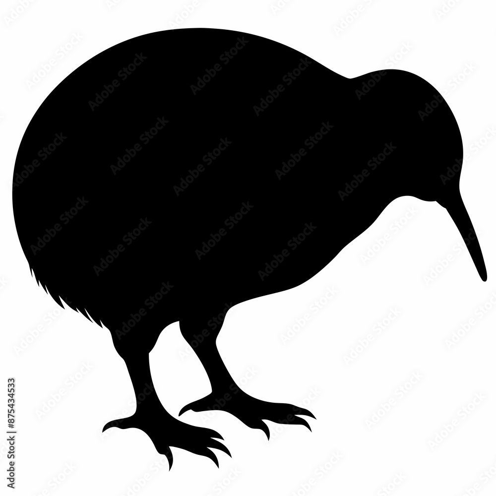 Kiwi vector illustration, bird isolated on white, Kiwi silhouette, Kiwi vector art Kiwi vector illustration, bird isolated on white, Kiwi silhouette, Kiwi vector art