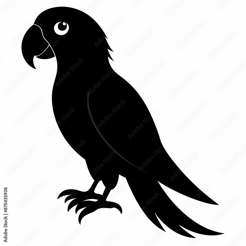 Parrot vector illustration, bird isolated on white, Parrot silhouette, Parrot vector art Parrot vector illustration, bird isolated on white, Parrot silhouette, Parrot vector art