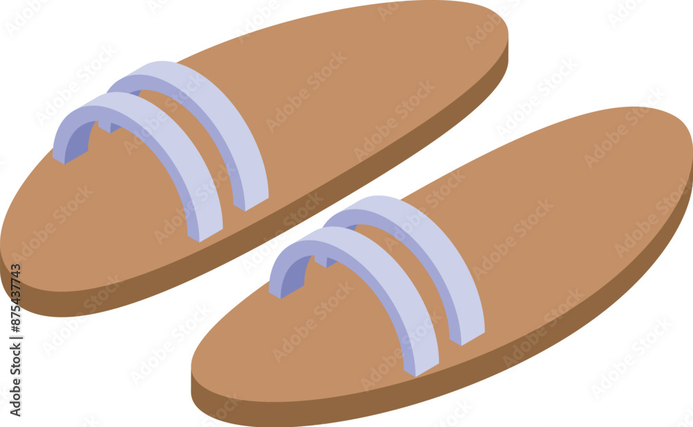 Obraz premium Comfortable pair of slippers standing on invisible floor, side view