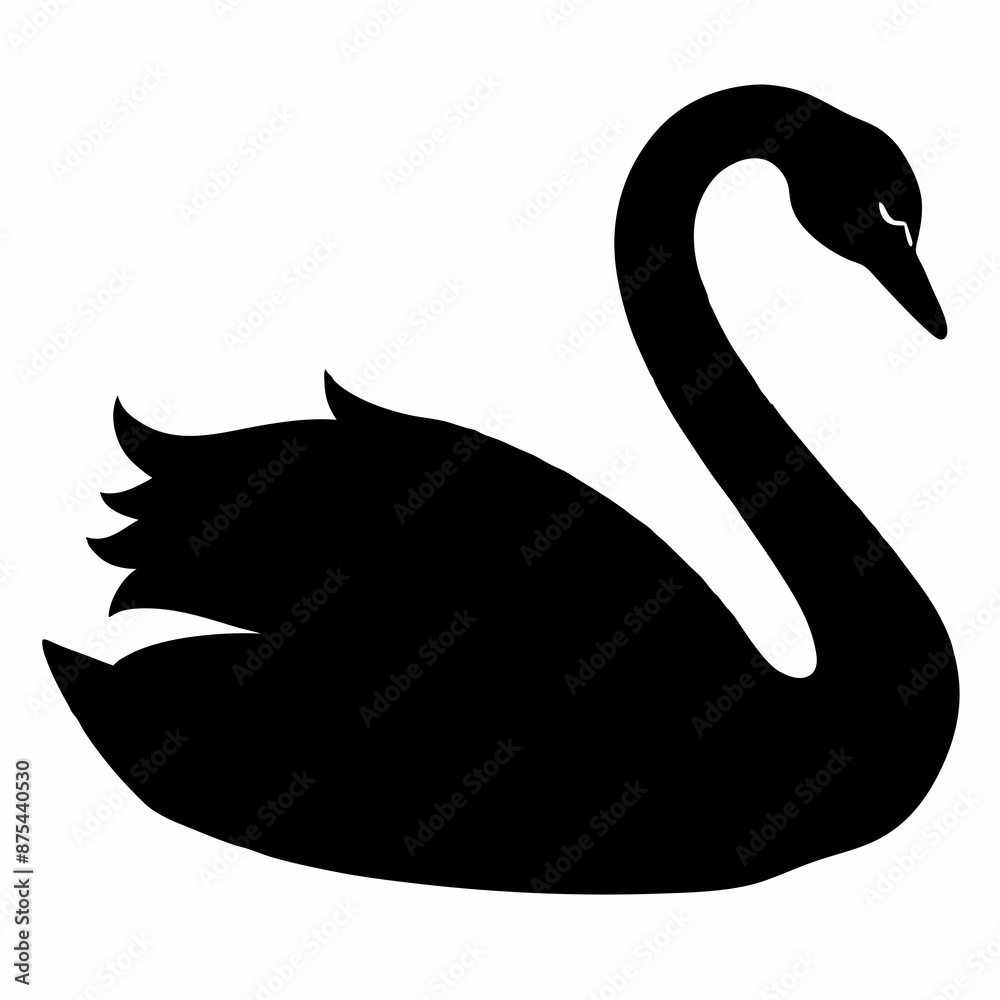 Swan vector illustration, bird isolated on white, Swan silhouette, Swan vector art Swan vector illustration, bird isolated on white, Swan silhouette, Swan vector art