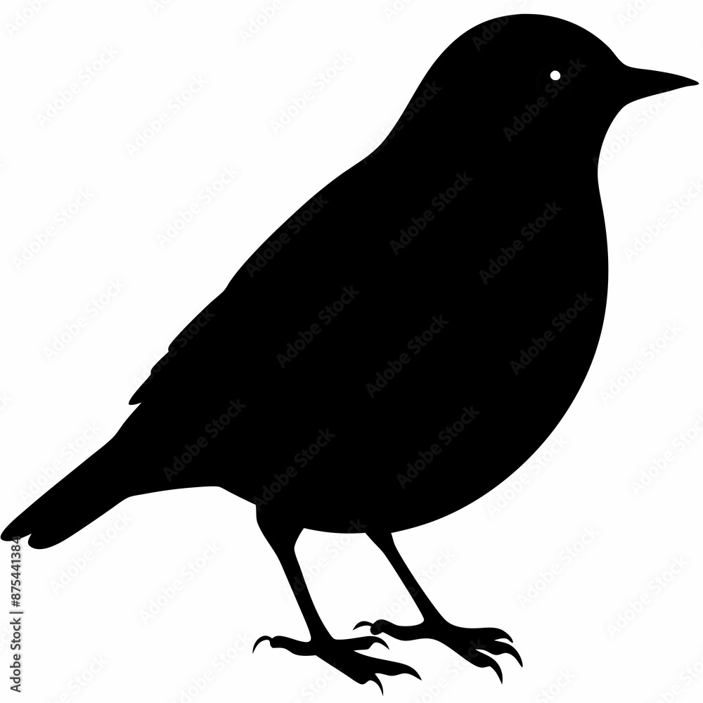 Warbler vector illustration, bird isolated on white, Warbler silhouette, Warbler vector art Warbler vector illustration, bird isolated on white, Warbler silhouette, Warbler vector art