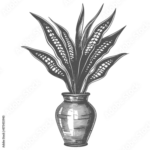 Vintage Engraved Snake Plant in Rustic Earthenware Vase