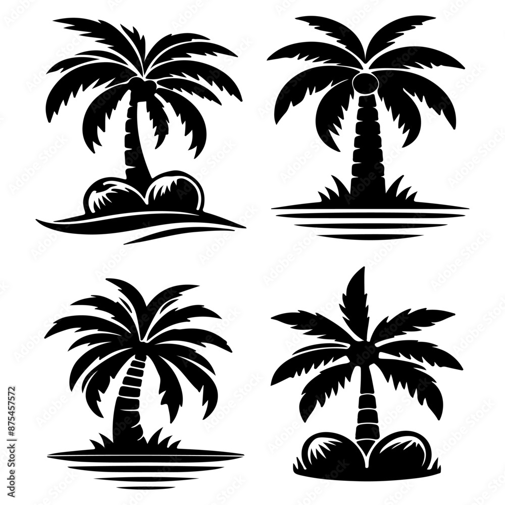 Fototapeta premium Tall tropical tree with large versatile and feathery leaves.