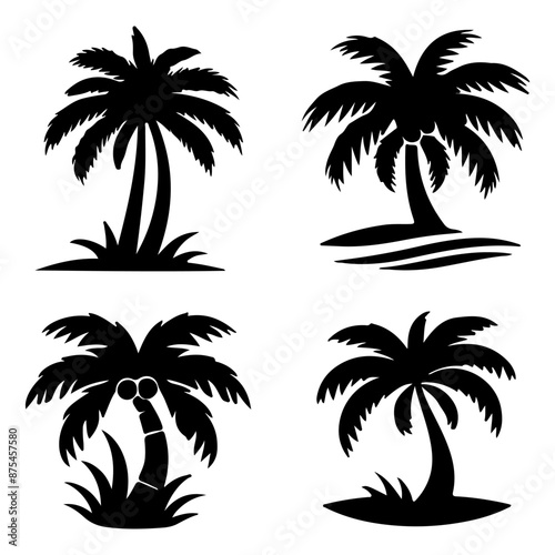 Tall tropical tree with large versatile and feathery leaves.