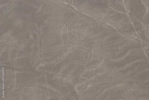 Le singe - ligne de Nazca photo