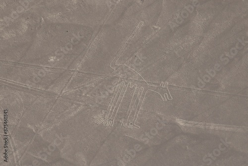 Chien - ligne de Nazca, Pérou photo