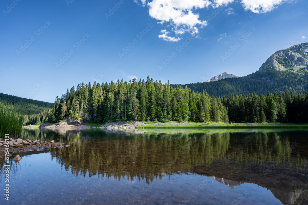 Fototapeta premium Der schwarze See oder Crno Jezero ist ein Gletschersee und ein Higlight in Durmitor in Montenegro, im Hintergrund die Berge mit Bäumen und Wald (Quer)