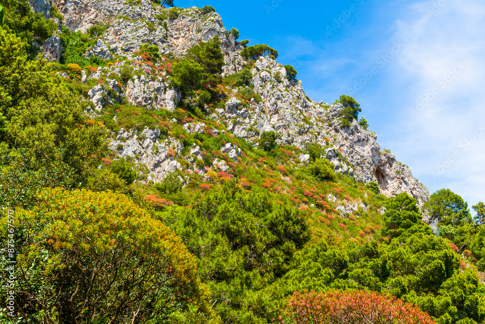 Φωτογραφία The wonderful island of Capri, amalfi coast, bay of naples, italy