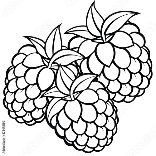 Raspberries Vector Icon Illustration Black And White Silhouette , HIgh Qualiy on White background  photo