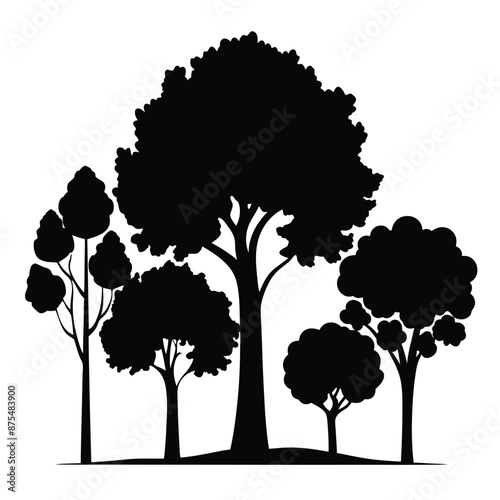 various deciduous trees silhouettes on a white background isolated from any distractions 