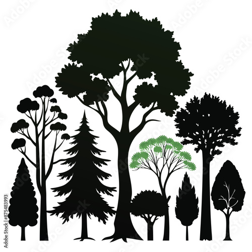 various deciduous trees silhouettes on a white background isolated from any distractions 