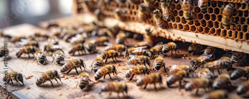 Close-up of numerous honeybees crawling on a wooden surface near a honeycomb. The scene captures busy activity of bees in a hive with a detailed view of honeycomb structure