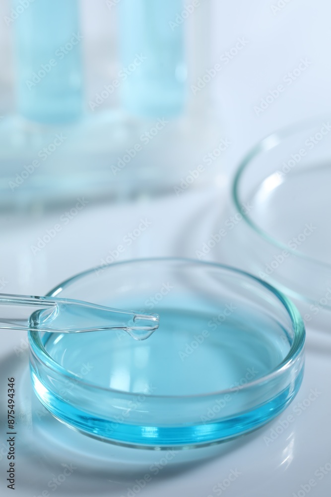 Dripping liquid from pipette into petri dish at white table, closeup Dripping liquid from pipette into petri dish at white table, closeup