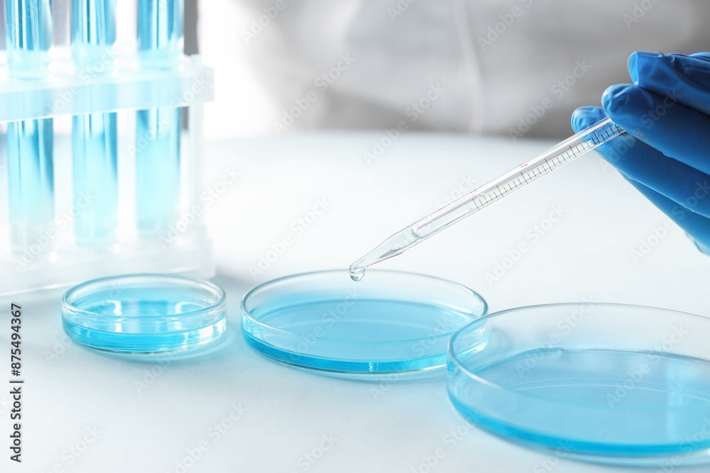 Doctor dripping liquid from pipette into petri dish at light table, closeup. Laboratory analysis Doctor dripping liquid from pipette into petri dish at light table, closeup. Laboratory analysis