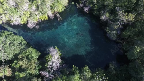 Source of the Olho D'água River (Floating tour Rio da Prata) - Bonito, Mato Grosso do Sul, Brazil photo