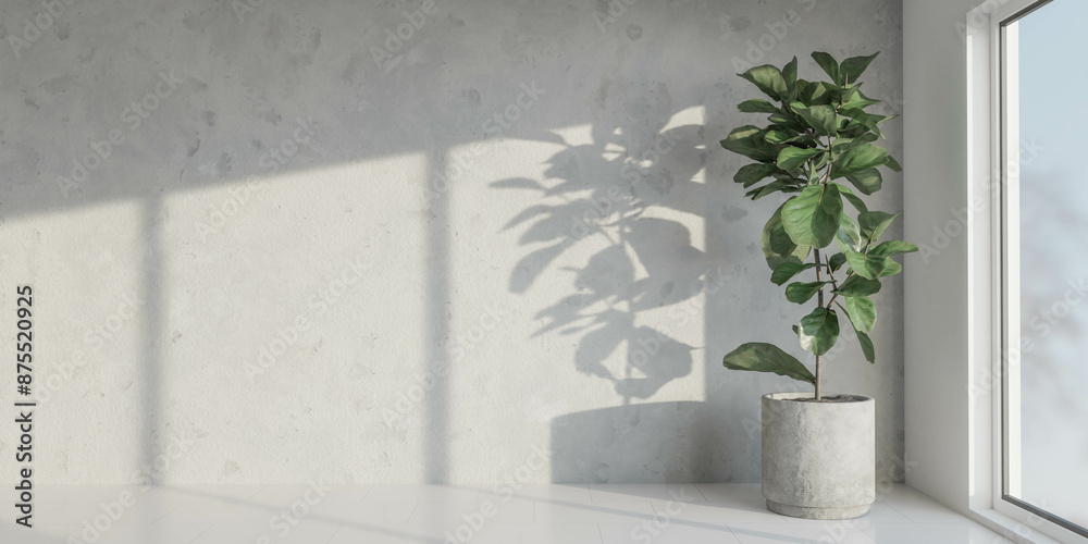 A single potted plant casts shadows on a white wall by a window on a sunny day 3d render illustration A single potted plant casts shadows on a white wall by a window on a sunny day 3d render illustration